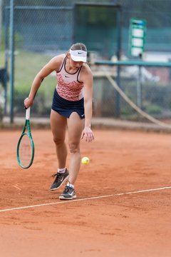 Bild 247 - BL2 TC an der Schirnau - THC von Horn und Hamm : Ergebnis: 7:2